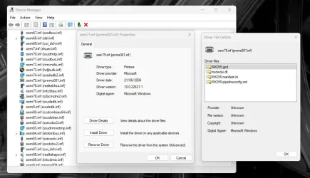 which printer driver is faulty 1.webp