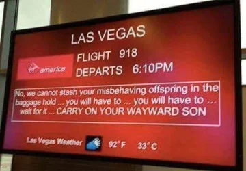 offspring-in-baggage-hold.webp