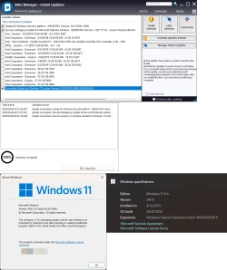 1747019666179.webp