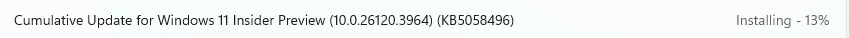 1747089801302.webp