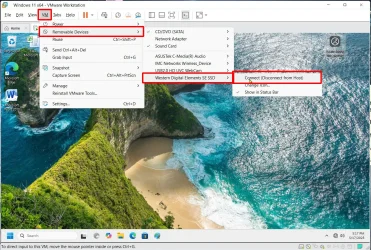 Removable Drive #2.webp