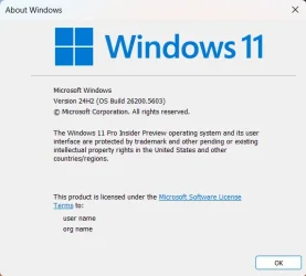 Winver.webp