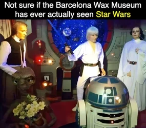 oOoDhMt.webp
