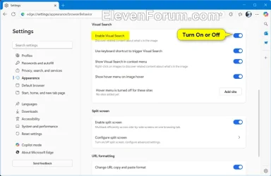 Microsoft_Edge_Visual_Search-2.webp