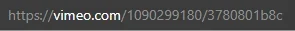 1748994859812.webp