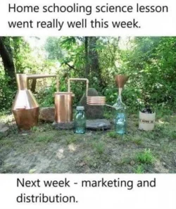 funny77.webp