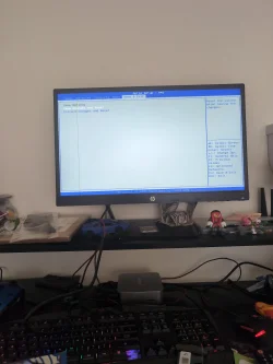 17493124135841789466689786452246.webp