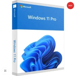 Screenshot 2025-06-15 at 15-22-21 Microsoft Windows 11 Professional License OEM Online Activa...webp