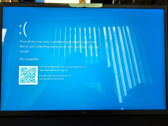 Critical Process Died 2025 06 17 WDV Test Group d.webp
