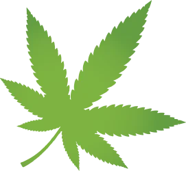 vecteezy_cannabis-leaf-png-clipart-with-transparent-background-for_19858988.webp