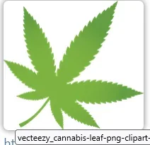 1750683158087.webp