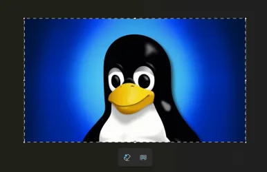 1750943479410.webp