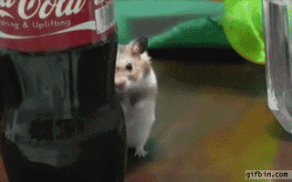 dxFKI8e.gif