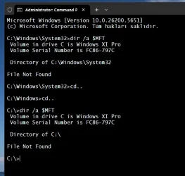 MFT.webp