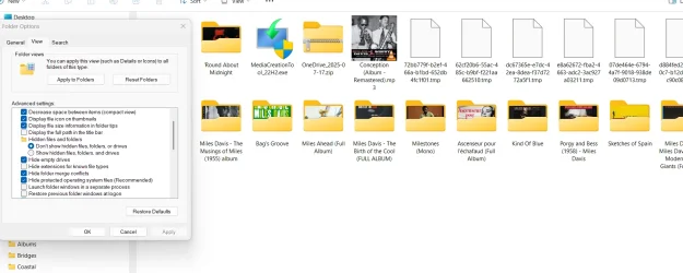 Screenshot 2025-07-17 180415.webp