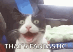 1752854084505.gif 1752854084505.gif