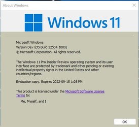 OS Build 22504.1000.PNG.jpg