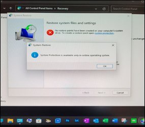 System Restore offline.jpg