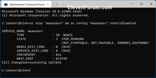disable_service_command.png