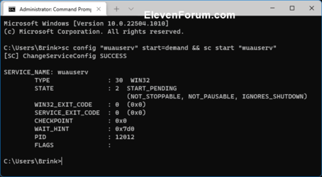 enable_service_command.png