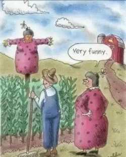 funny54.webp
