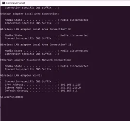 command prompt IP config.webp