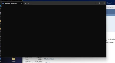 Flash2.webp