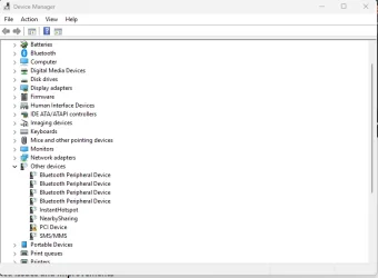 Missing Driver.webp