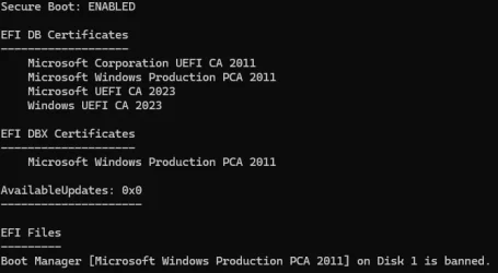 Boot EFI Update.webp