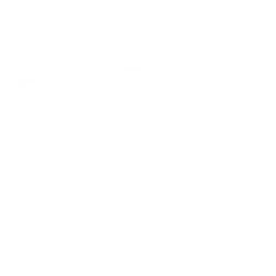 Border Opacity.webp