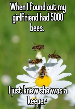 264893179wk.webp