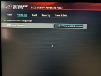 bios2.webp