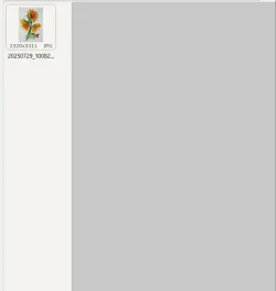 000515.webp