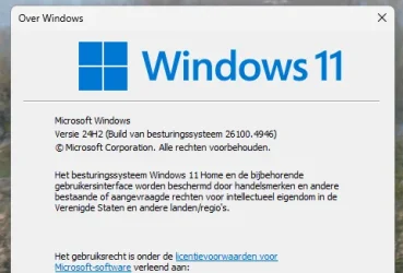 1755019531775.webp