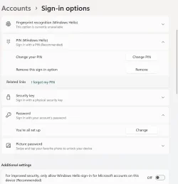 Windows 11 Signin Options.webp