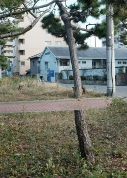 morning_picdump-31-5.webp