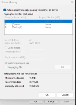 Status of Virtual Memory.webp