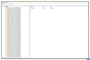 Win-1832.webp
