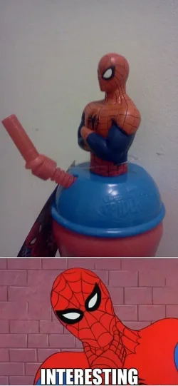 spider.webp
