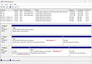 Windows 11 dual boot.webp