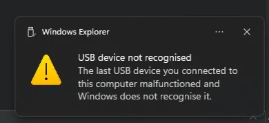 1 - Error message.webp