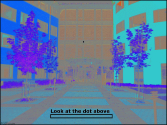 PRFl1JN.gif