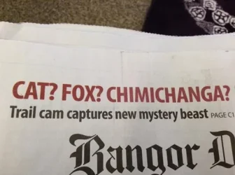 chupacabra.webp