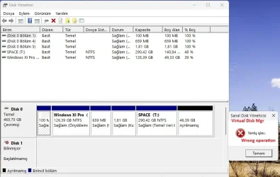 Disk_1_1.webp