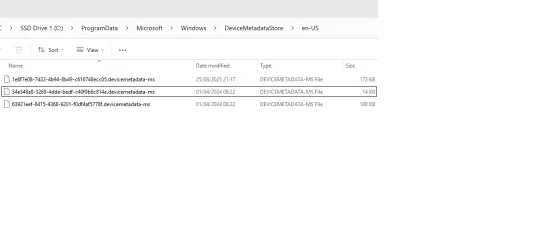 Metadata folder.webp