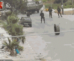 gh.gif gh.gif