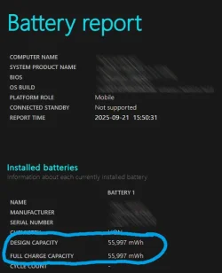 Sample battery report.webp