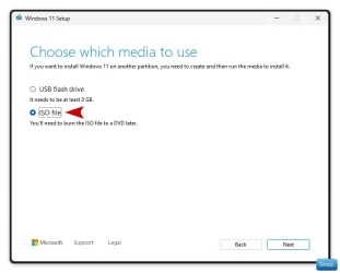 Win-1919.webp