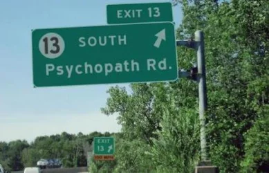 the road through the woods.webp the road through the woods.webp