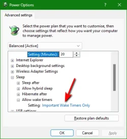 Power Options - Important Wake Timers Only A.webp Power Options - Important Wake Timers Only A.webp